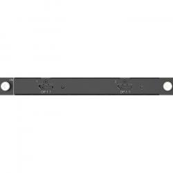 H Series 2x DP 1.1 Input Card