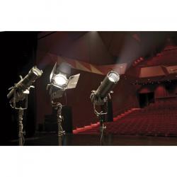TF-300 Fresnel