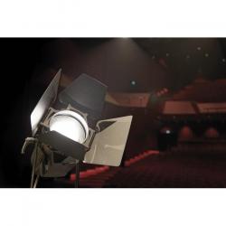 TF-260C7 Fresnel