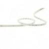 Artecta Cali Tube LED lichtslang 50 meter 2700K IP65 72 LED/m 48V