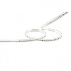Artecta Cali Tube - 4000 K...