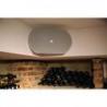 DAP WMS8-W passieve 8 inch muurspeaker 16 Ohm wit