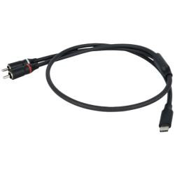 FL110 - USB-C to 2 RCA male