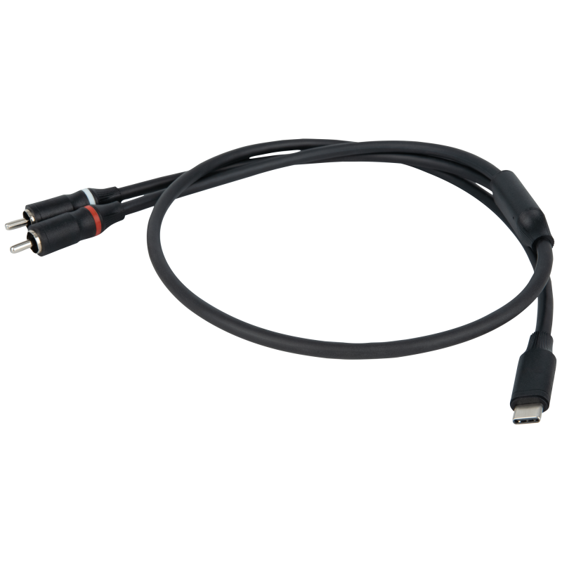 FL110 - USB-C to 2 RCA male