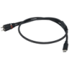 FL110 - USB-C to 2 RCA male