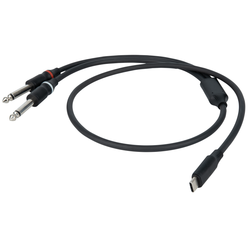 FL111 - USB-C to 2 Mono Jack L/R