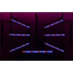 Spectra Strobe