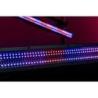 Spectra Strobe