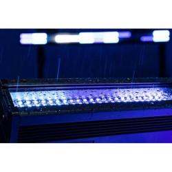 Spectra Strobe