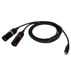 FL115 - USB-C to 2...