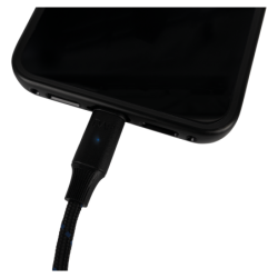 FL115 - USB-C to 2 Galvanically Isolated XLR/M 3P 0.75 m