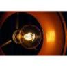 Showtec Edison Vintage 2 Retro DMX LED-lamp met dimmer en E27-fitting