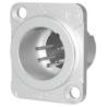 XLR 5P Chassis - male