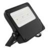 Coredo Floodlight 50 W