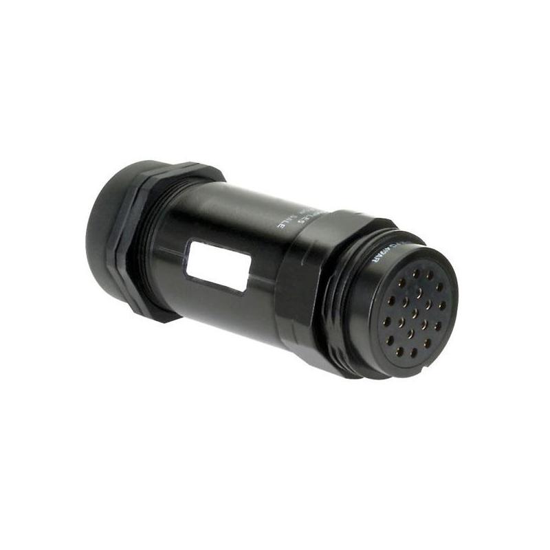 Socapex 19 Pin female cable connector PG29 IP67